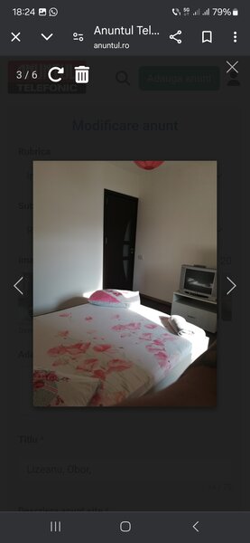 Lizeanu, Obor,