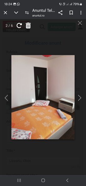 Lizeanu, Obor,
